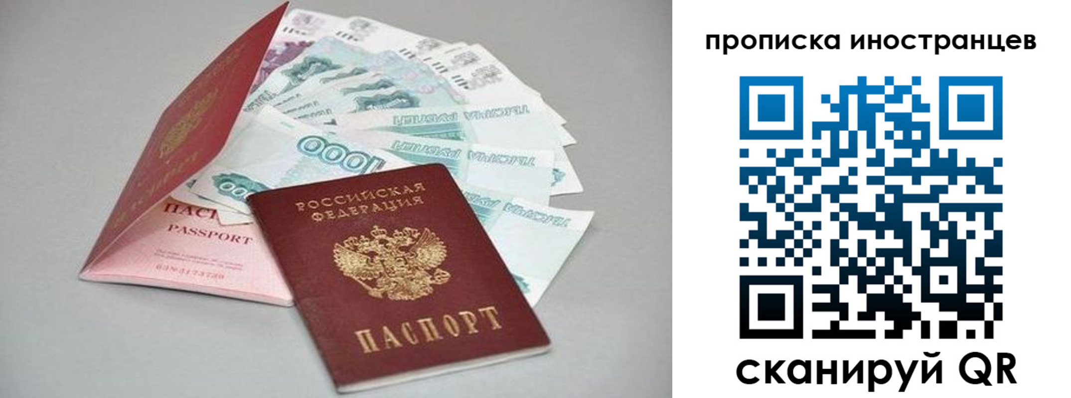 прописка гарантия в Зверево